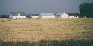 Houses on a farm